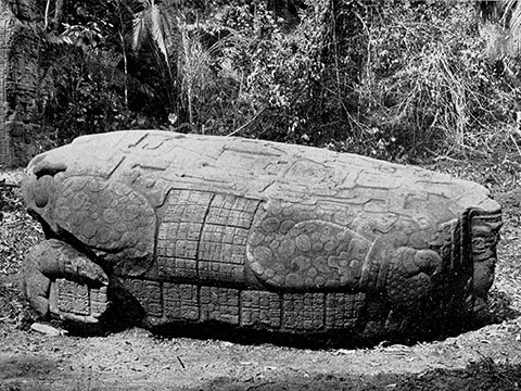 Changing Views of the Past: Archaeology and Epigraphy at Quirigua, Guatemala 1840 - 2010 thumbnail.