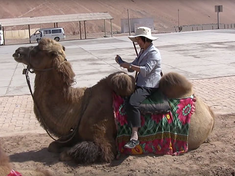 Astana and Camel Riding Near the Flaming Mountain thumbnail.