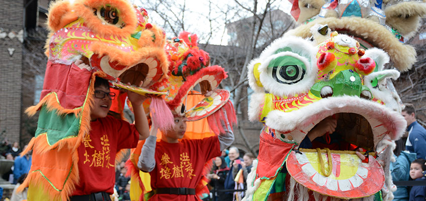 Chinese New Year Dragons