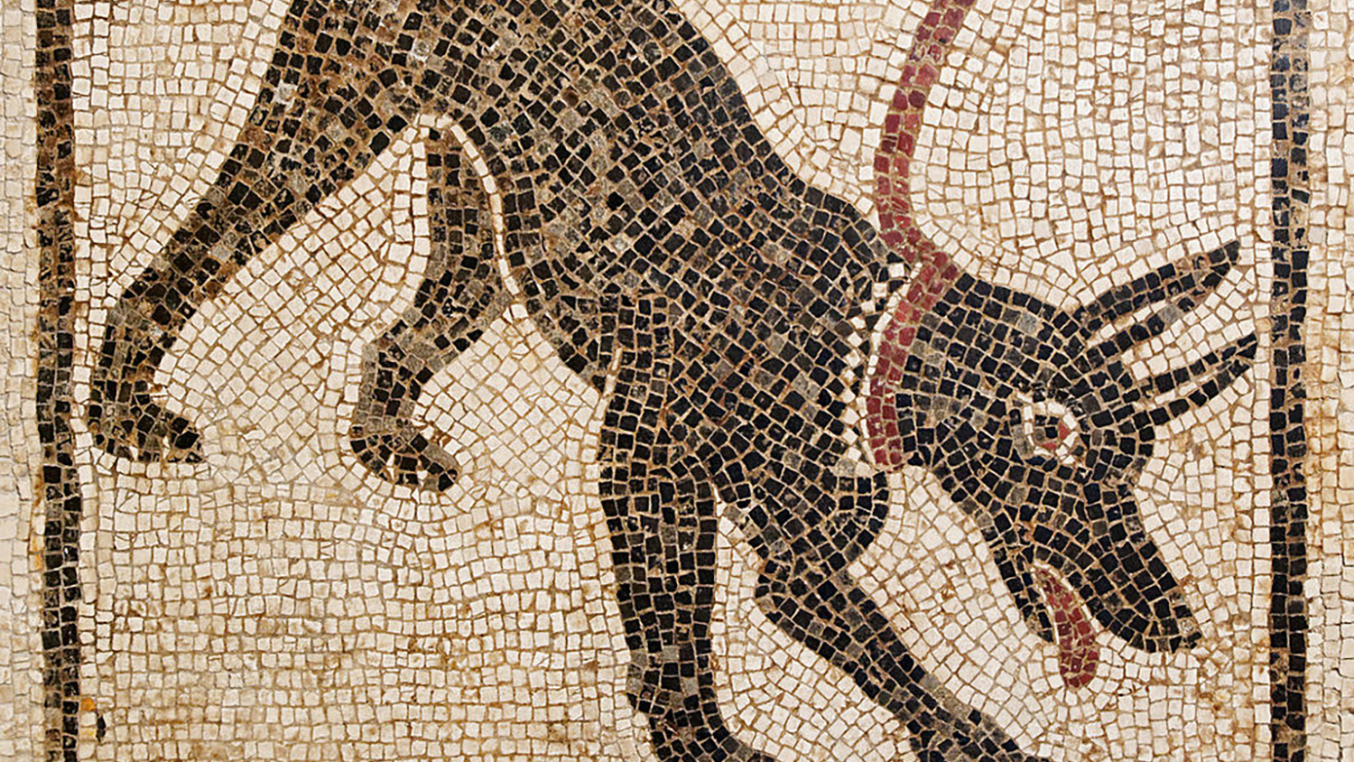 A mosaic of a dog.