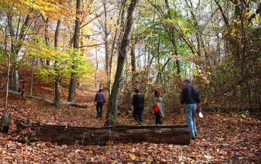 A group of people walking through the woods at Abbott Farms in the fall.