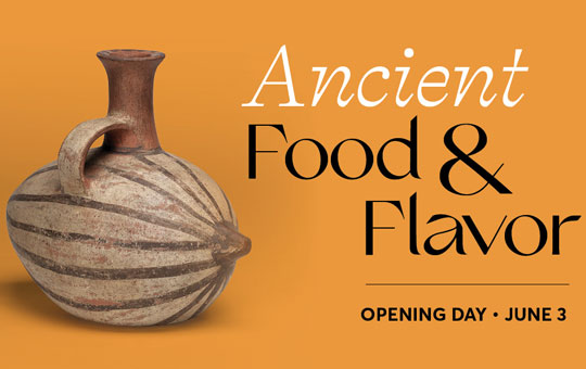 Ancient Food & Flavor opening celebration.