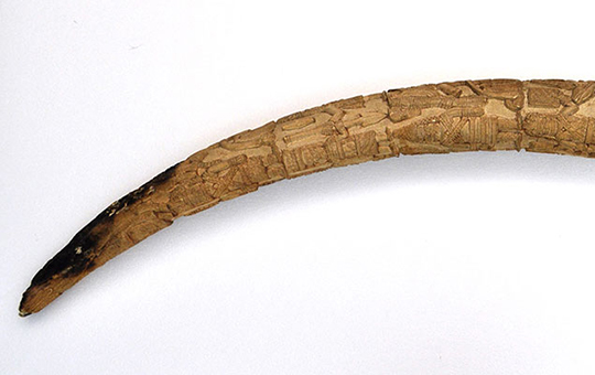carved ivory tusk