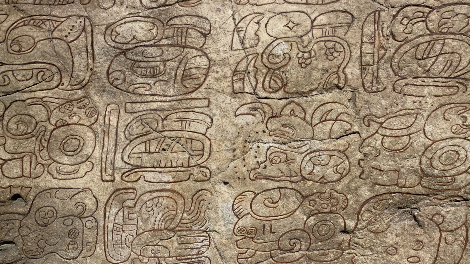 Maya hieroglyphs on a stela.
