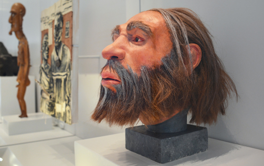 Reconstructed Neanderthal Head