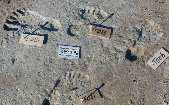 Footprints preserved in stone.