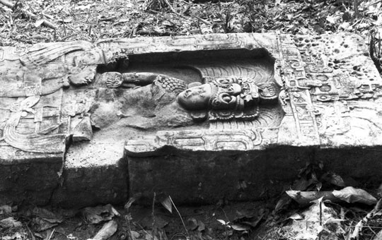 limestone monument from guatemala stela 14