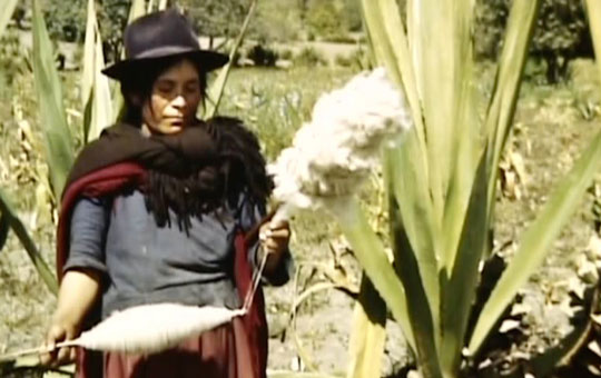 Woman spinning wool.