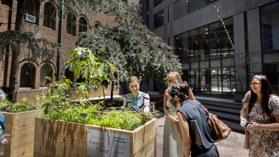 People in the courtyard.