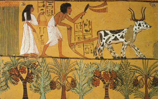Depiction of farming in ancient Egypt.