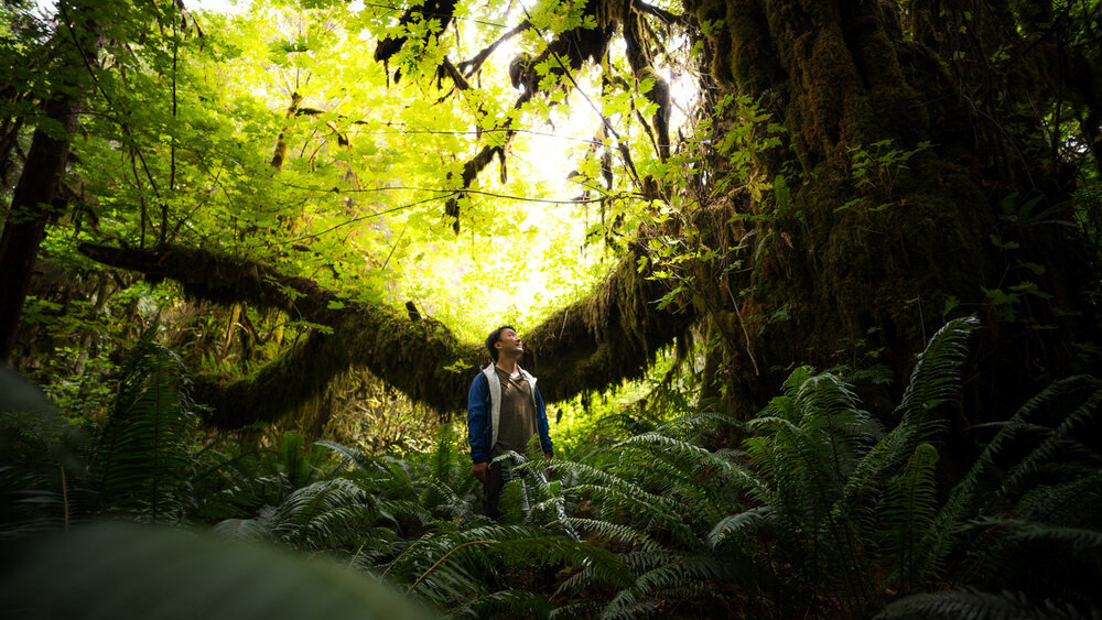 Man standing in forest