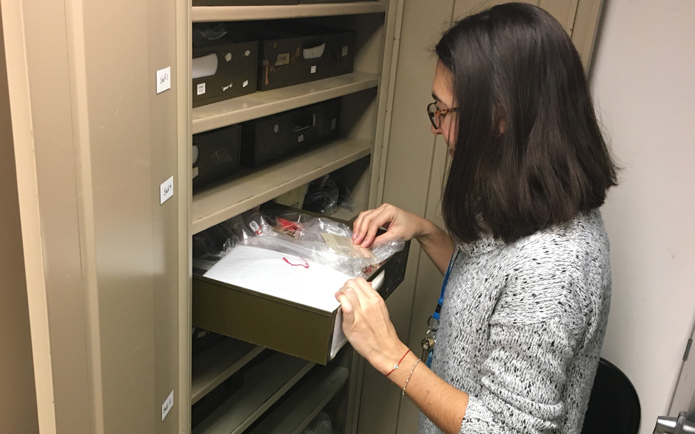 A person organizing objects in the collection.