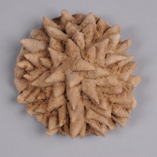 Chrysanthemum Shaped Dessert, 5th-3rd century BCE, Excavated from Tomb No. 73, Zaghunluq, Chärchän Xinjiang Uygur Autonomous Region Museum Collection.