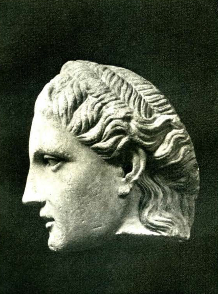 Head of a greek goddess from a statue, the hair in braids, profile view