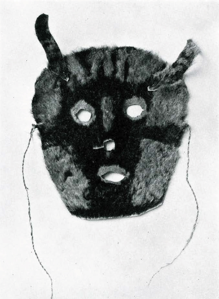 Mask made of skin with fur still attached.