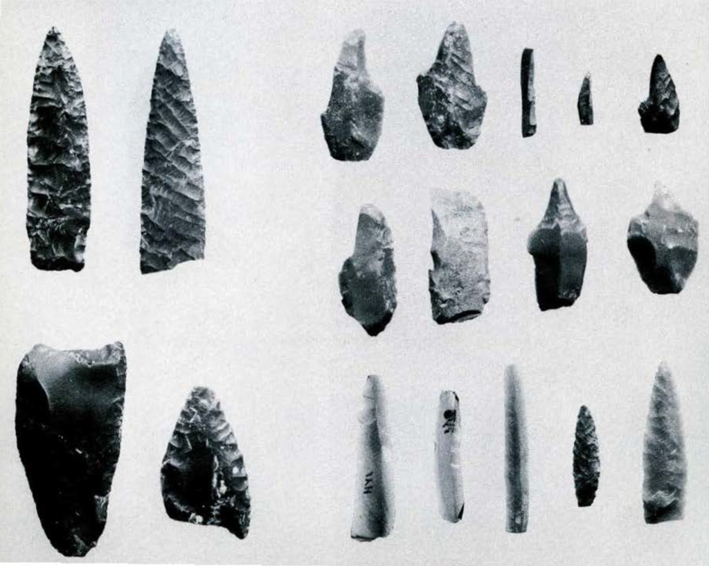 Many small sharp tools made from stone.