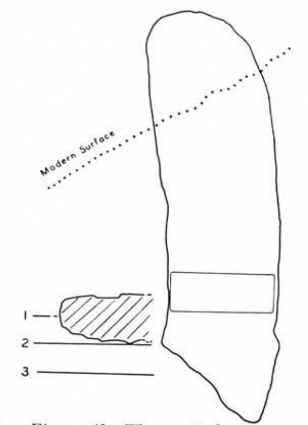 Drawing of vertical locations of stela and altar in situ.