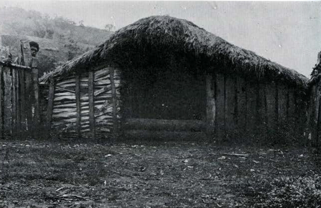 A low lying hut.