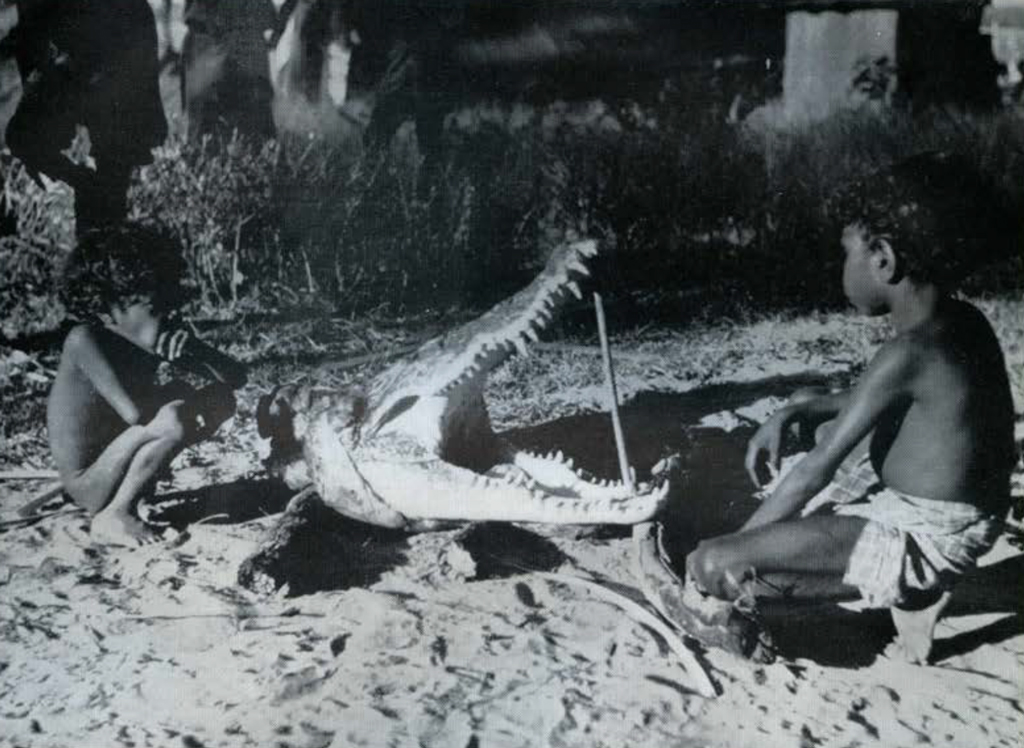 Two toddlers crouching next to a crocodile head, the mouth proped open with a stick.