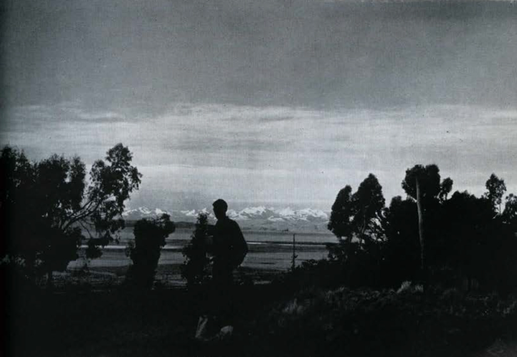 View of Lake Titicaca, surrounded by trees, mountains in the background.