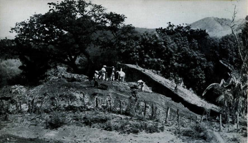 Mound 6 mid excavation, surrounded by trees, men working.
