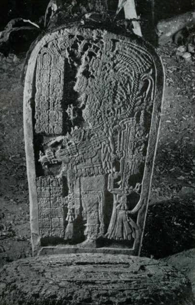 Stone stela showing an elaborately dressed priest, a round stone altar in front of the stela.