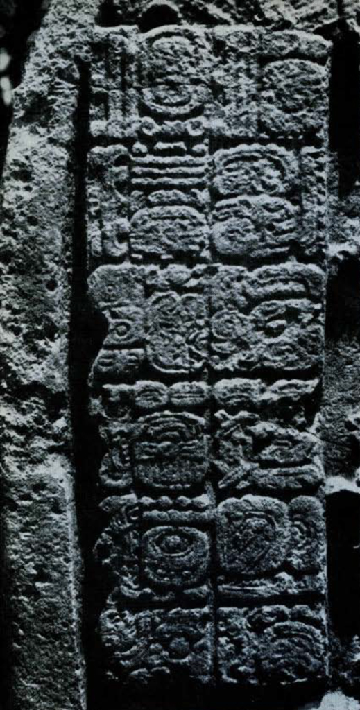 Close up of glyph panel on a stela, two columns of six square glyphs.