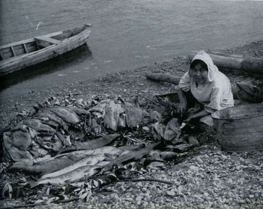 A woman sitting on the shore, cutting open a mound of salmon.