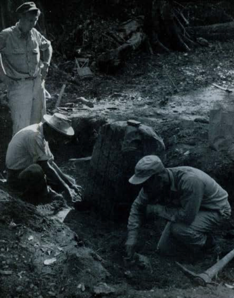 A group of men excavating a large stone.