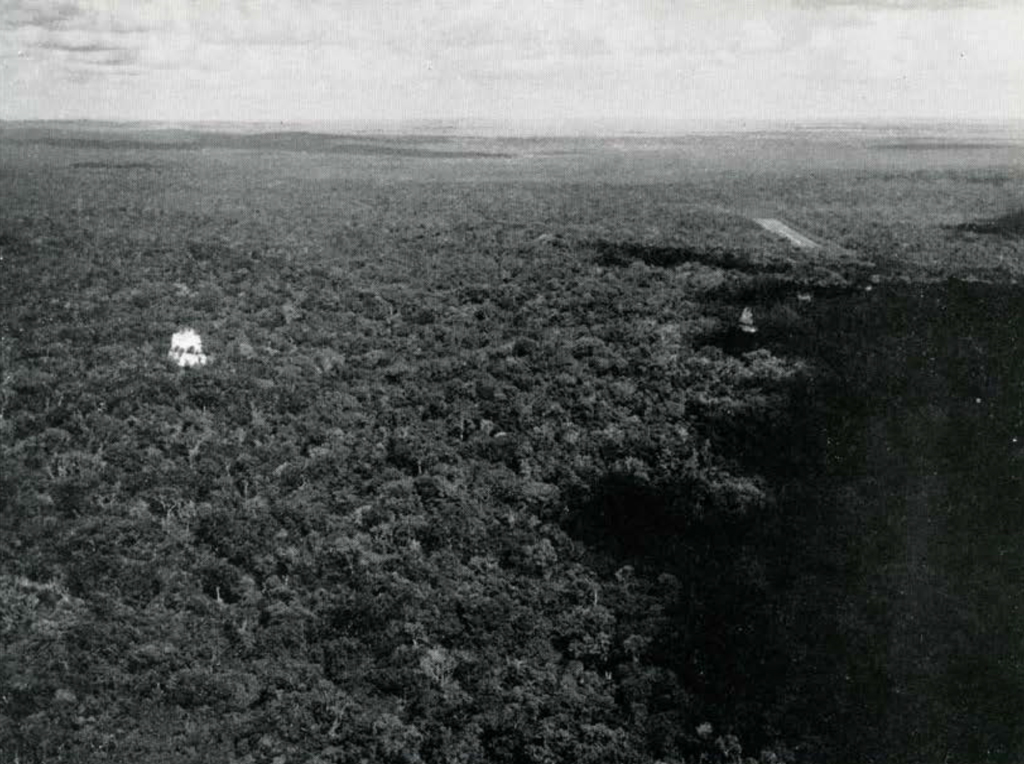 View of temple tops rising above the tree line, seen from the air.