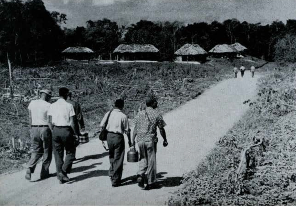 A group of tourists walking down a path towards a camp of thatched roof buildings.