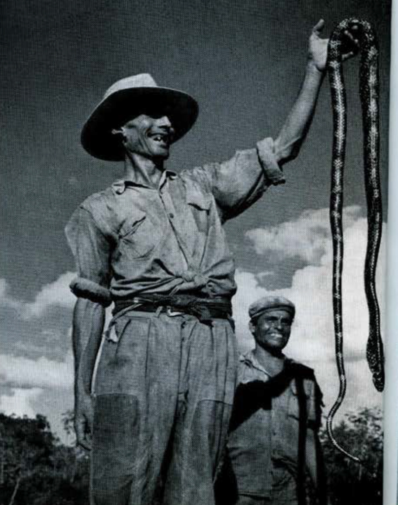 A man grinning and holding a long, dead snake aloft.