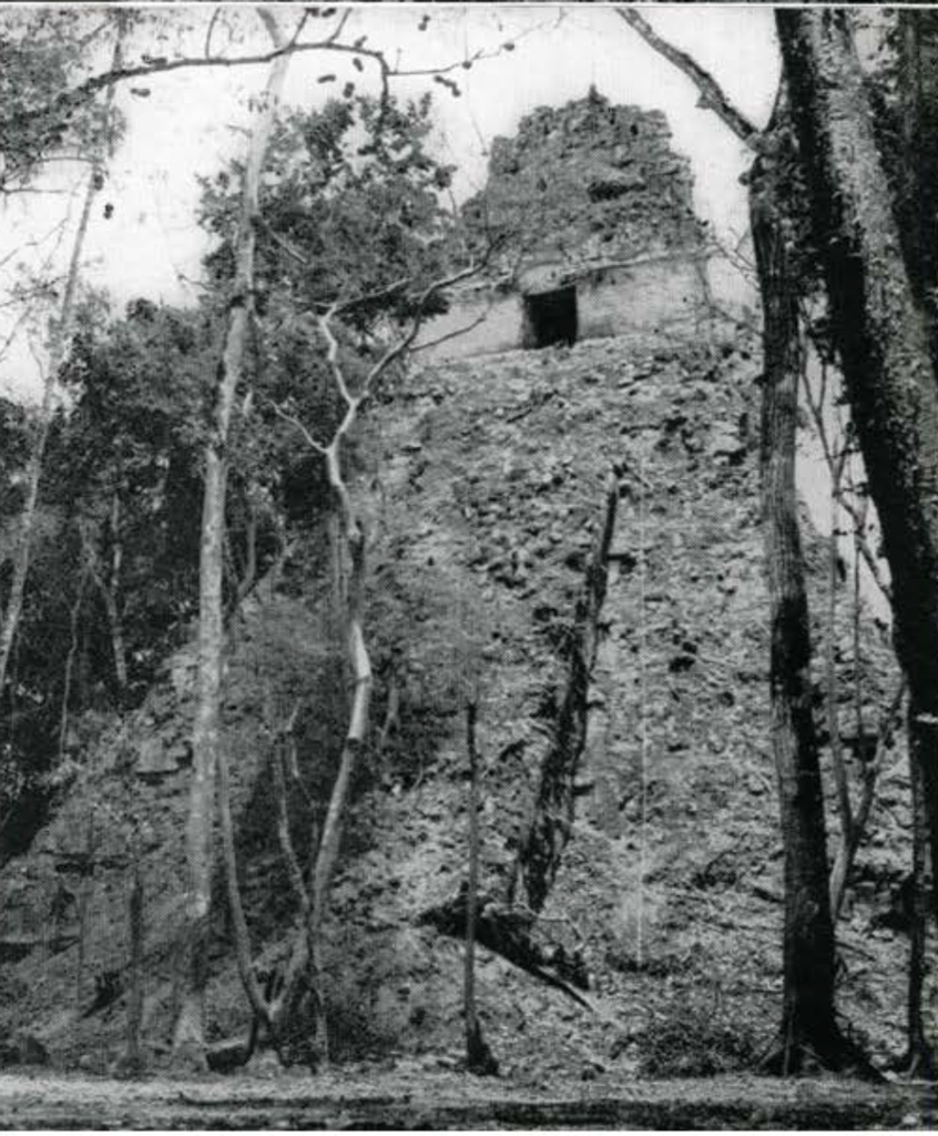 View of a tall temple, pyramid shaped, brush cleared away.