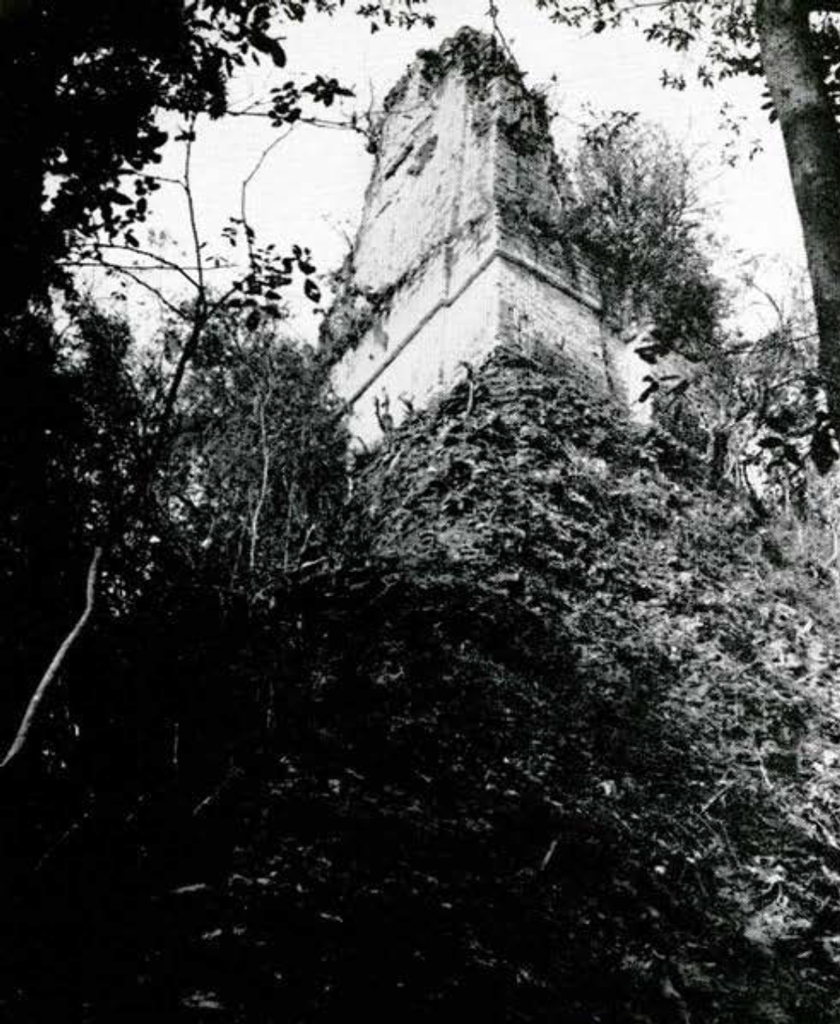 View of a temple covered in brush.