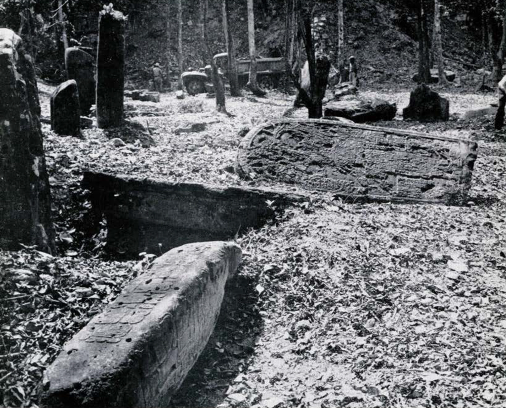 Many massive stone stelas, some standing upright, some fallen onto the ground, some with visible carvings.