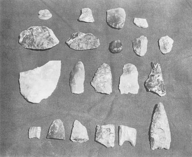 Photo of objects