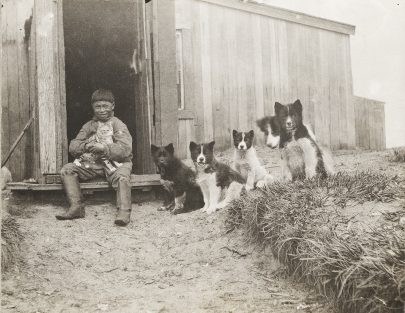 photo of child with dogs
