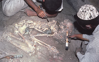 Two men brushing the dust off a skeleton