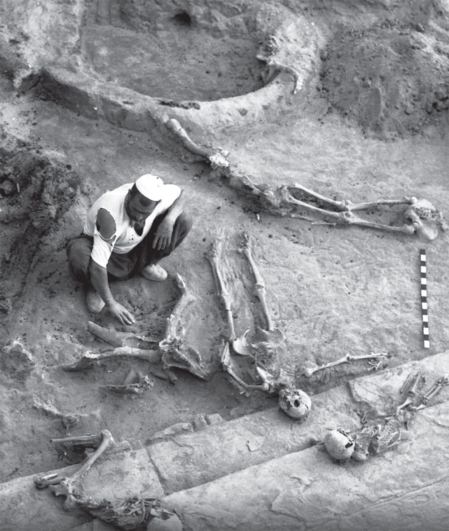 Photo of skeletons in hasanlu