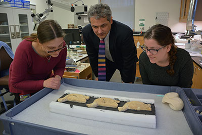 Siggers looking over an object with two conservation professionals.