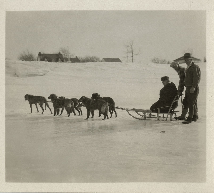 Three men on a sled being pulled by several sled dogs.