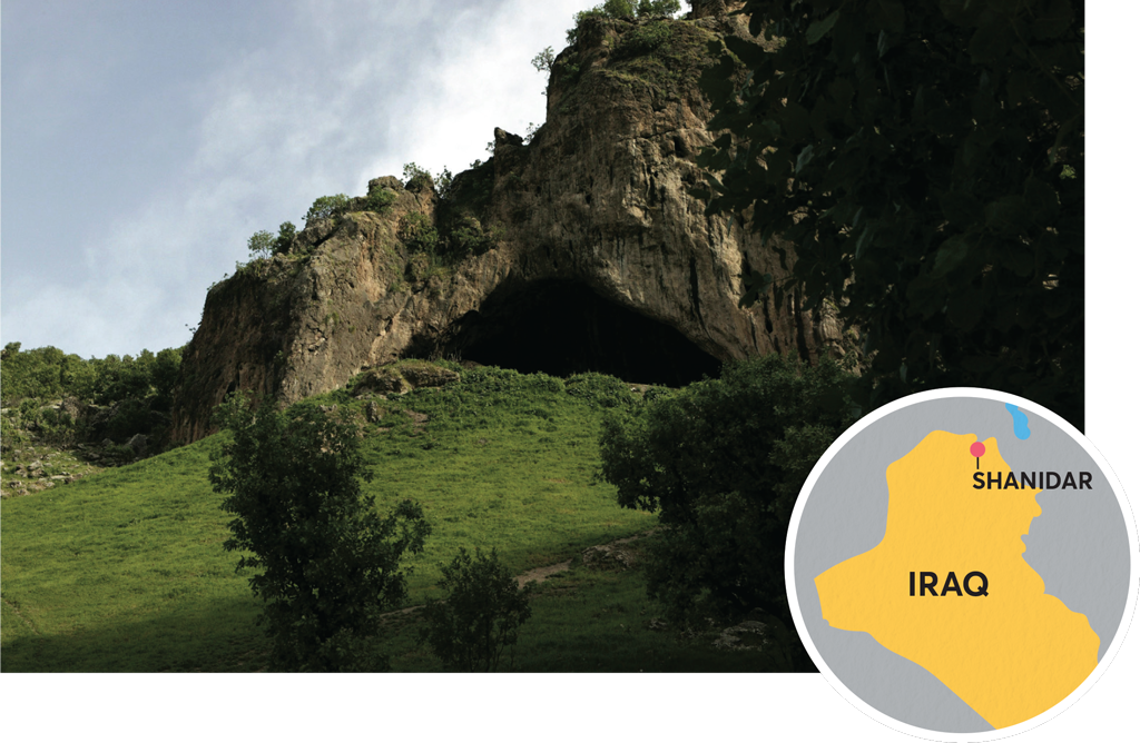 The entrance to Shanidar Cave, covered in grass and trees, and a pin on a map of Iraq showing the location of the cave.