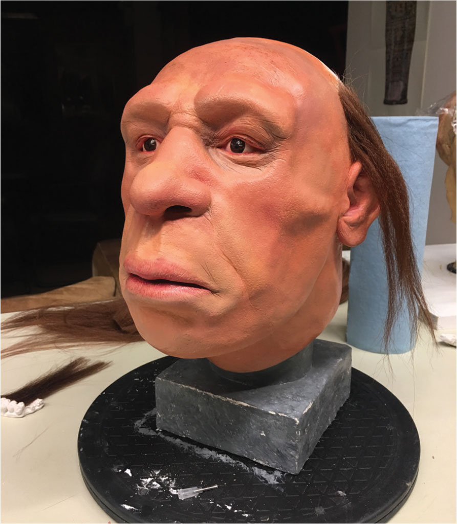 The plaster cast with skin tone painted on and some hair added to the scalp.