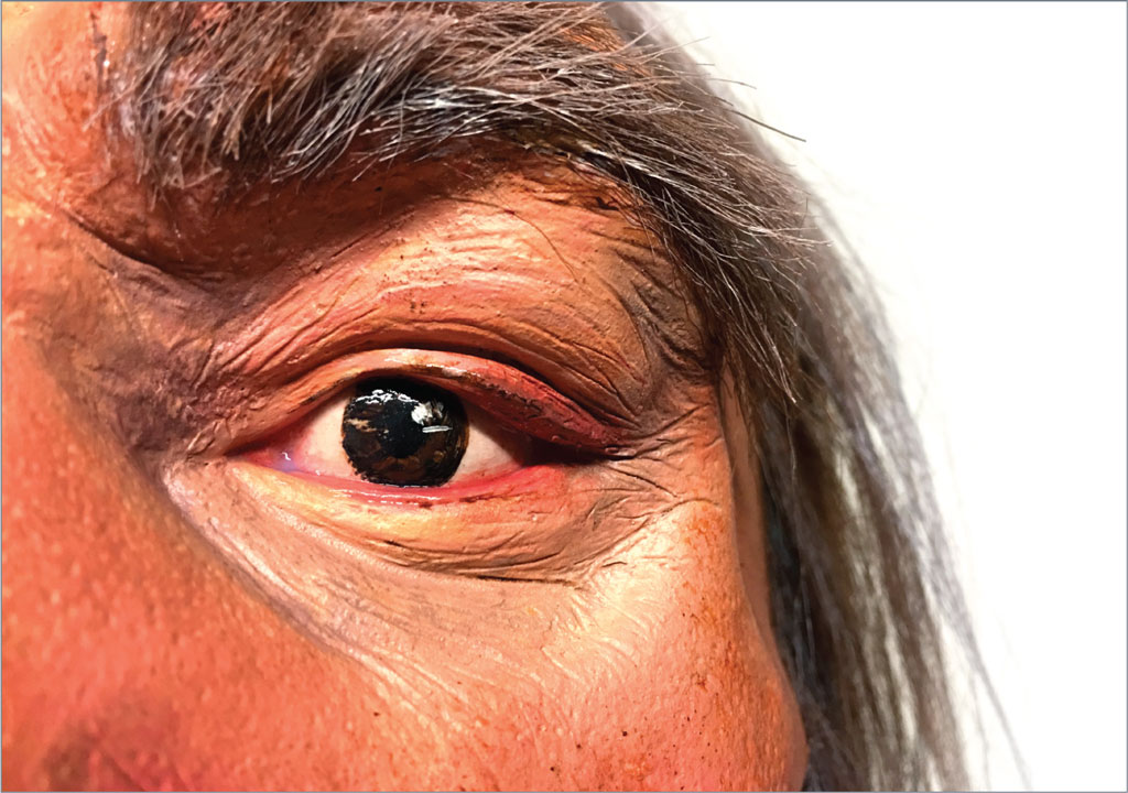 Close up of the cast's eye, showing detailed painting, wrinkles, and eyebrows.