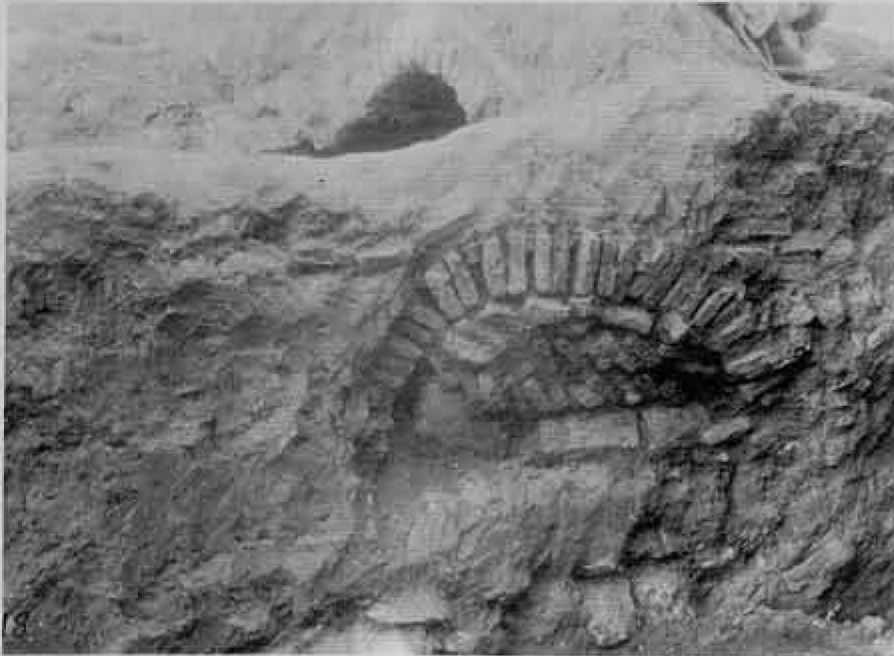 Excavated wall showing an arch made of bricks.