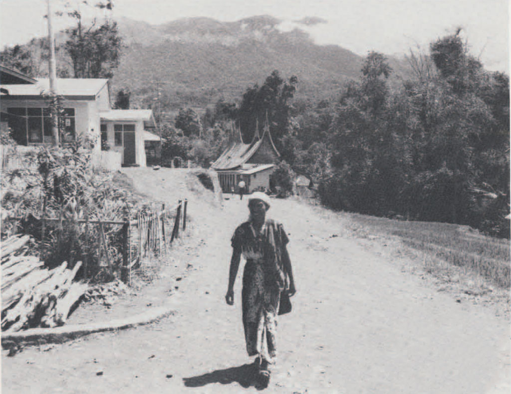 A man walking a path through a village, mountains in the distance, houses to the left.