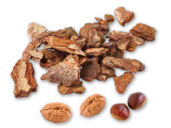 An assortment of bark bits and nuts.