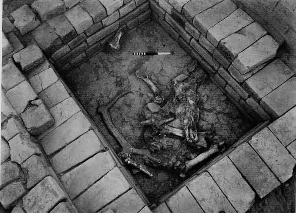 Brick lined pit with animal bones in it.