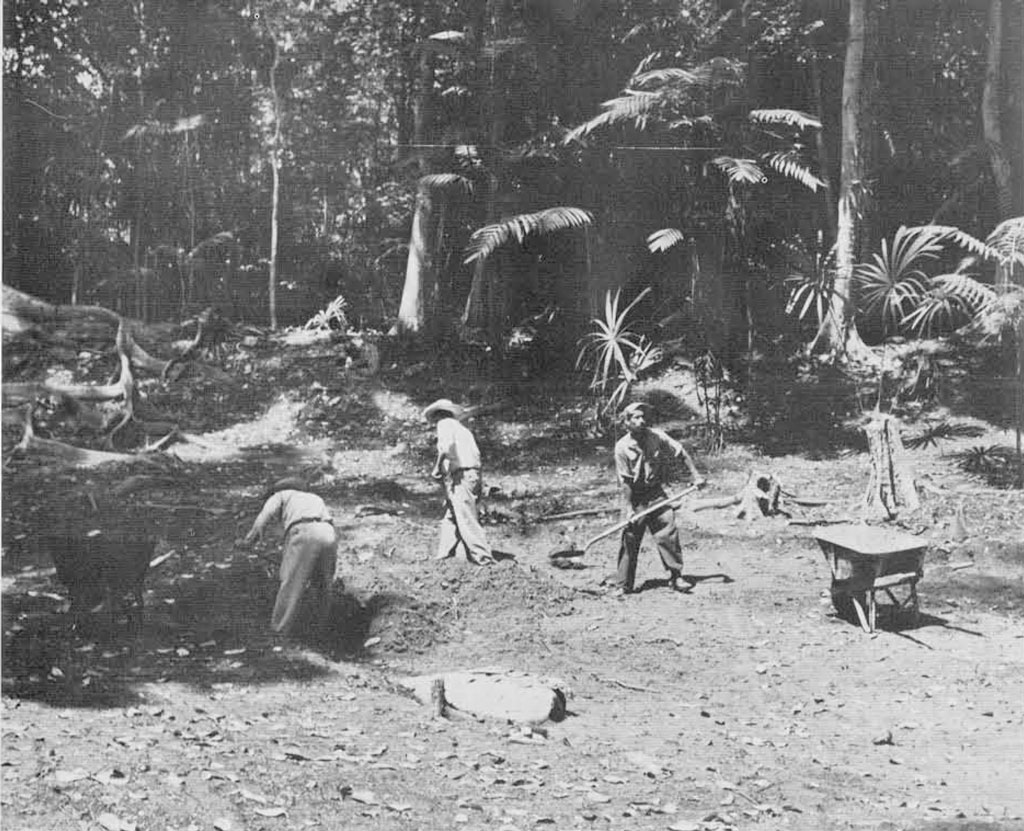 Three men cleaning a clearing in the jungle, a stela lying on the ground.