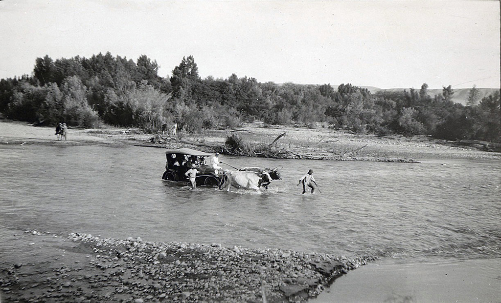 Oxen pulling an early 90s automobile across a river.